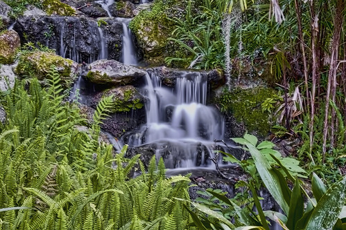 Rainbow Springs State Park, 19158 SW 81st Place Road, City of Dunnellon, Marion County, Florida, USA by Urban Florida Photographer, Rainbow Springs State Park is a Florida state park located on U.S. 41, 3 miles (5 km) north of Dunne