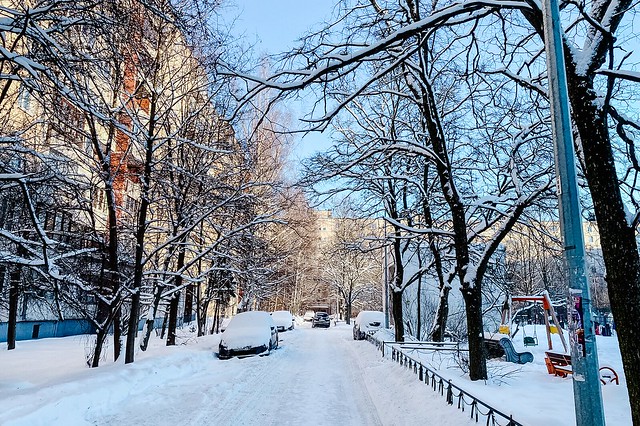 frosty morning in saint petersburg. february 2024