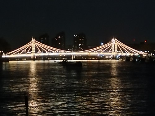 Albert Bridge SWC Short Walk 57 - Illuminated River