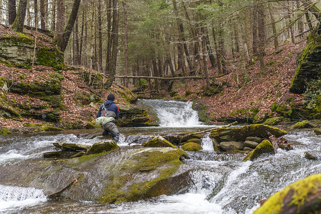 Searching for Brookies in the Catskills
