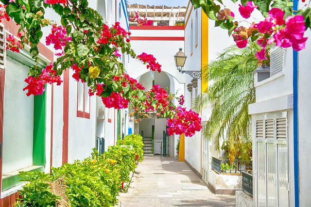 Sunny Summer Street With Bougainvillea Flowers in Puerto Mogan at Gran Canaria, Canary islands in Spain.