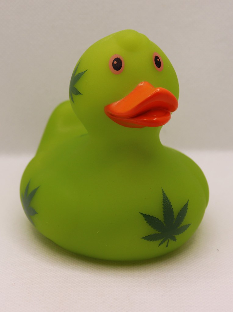 1 (4) austria rubber duck...weed duck
