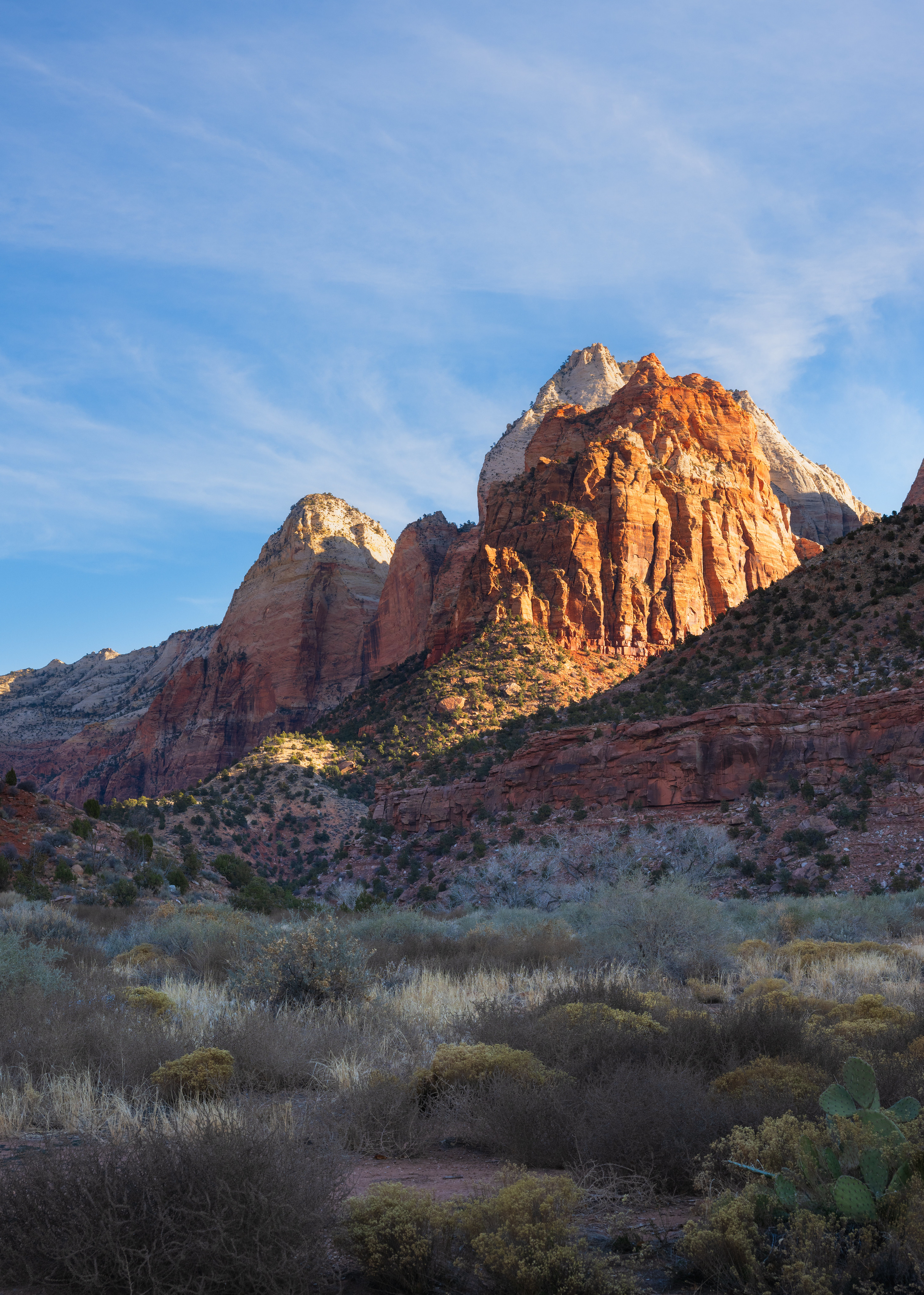 The beautiful landscape of Zion National Park 2926...