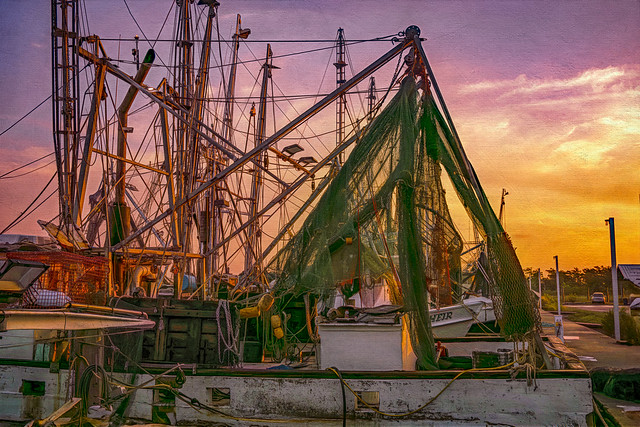 The Colors of the Sunrise Painted on the Shrimp Boats