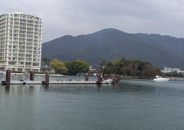 Shoreline Lake Biwa