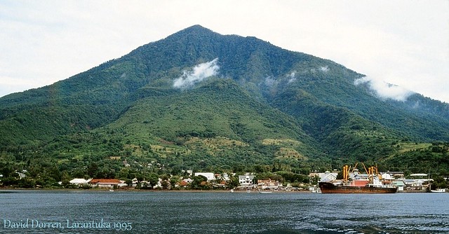 1995.13-35d The town of Larantuka dominated by Ile Mandiri, the extinct volcano.