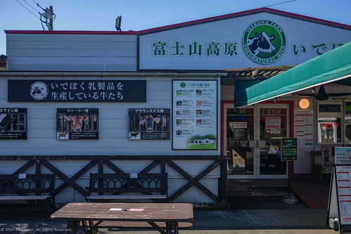 japan cow commerce cows dairy sign shop outside lights store outdoor farm kanji signage japanesewriting tablefujinomiyashizuokajapan