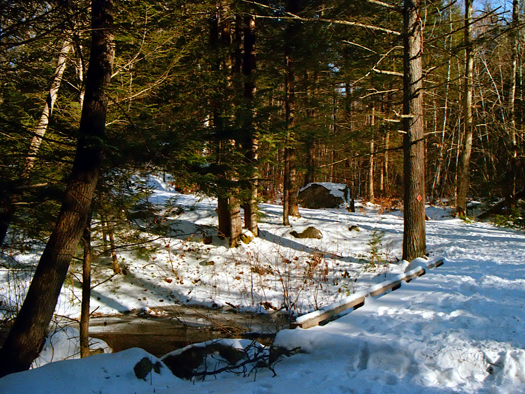 Stonehouse Forest Conservation Area_Barrington NH