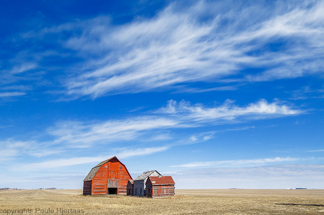 6498 Under Prairie Sky