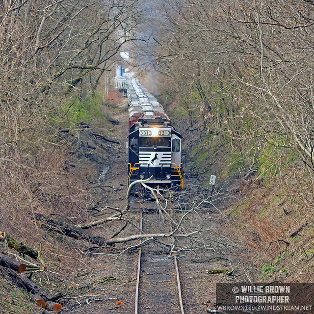 NS SD40-2 3313 {built 5/79 as SOU 3313} waits behind a fallen tree at MP 58 on the Omal running track in Powhatan Pt., OH. 3/27/24.