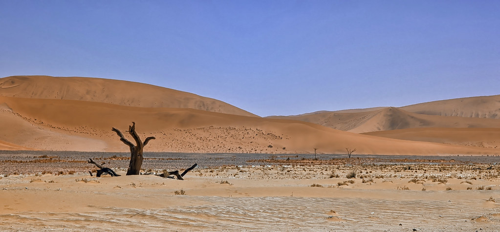 The Namib Sand Sea, Sossusvlei, Namibia
