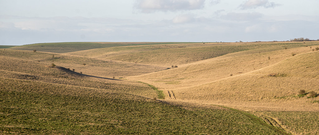 A View Along a Combe on Black Heath