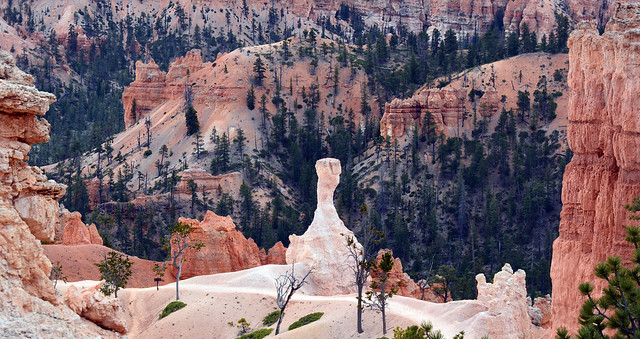 USA - Utah - Bryce - Canyon