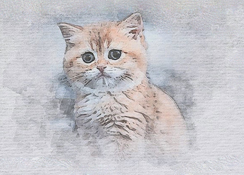 Le petite chat ( Watercolor )