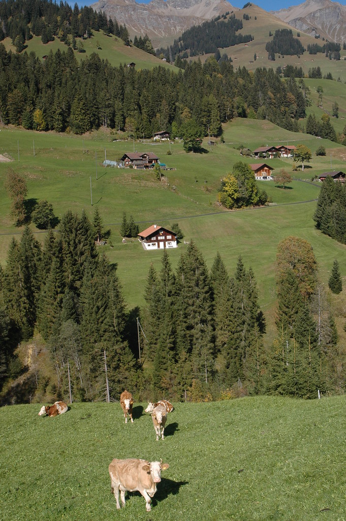 Vall d'Adelboden (Cantó de Berna)