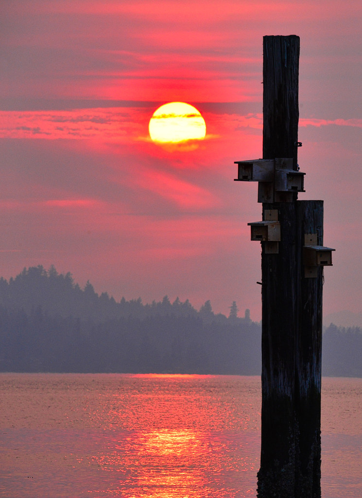 Sun and Piling, Titlow Beach, Tacoma, WA