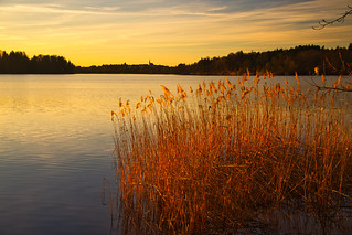 Serene evening at the Abtsee lake