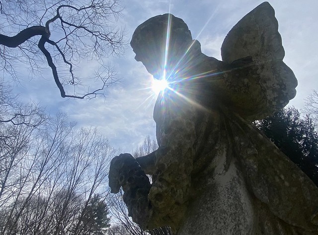 Watertown, MA! - Mt. Auburn Cemetery!