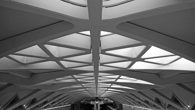 Calatrava art under the earth