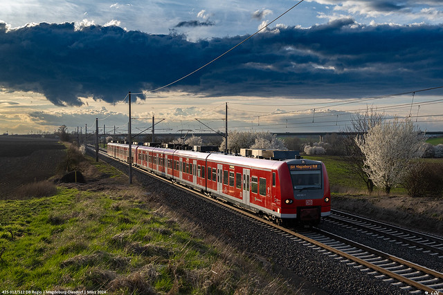 425 012/512 DB Regio | Magdeburg-Diesdorf | März 2024
