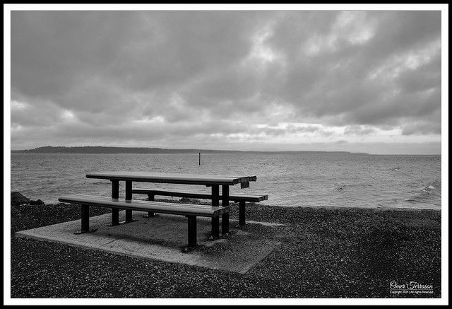 Bench on the Sound