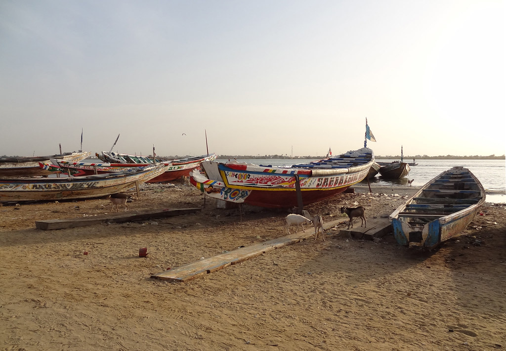 Harbour at Saint-Louis, Senegal, January 2014