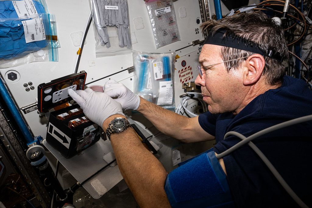 NASA astronaut Mike Barratt processes brain organoid samples