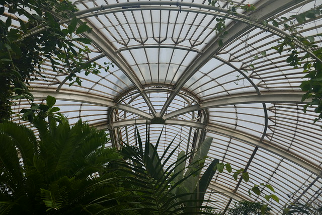 greenhouse architecture