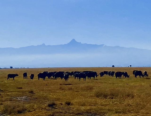 Mount Kenya | Ol Pejeta, Kenya