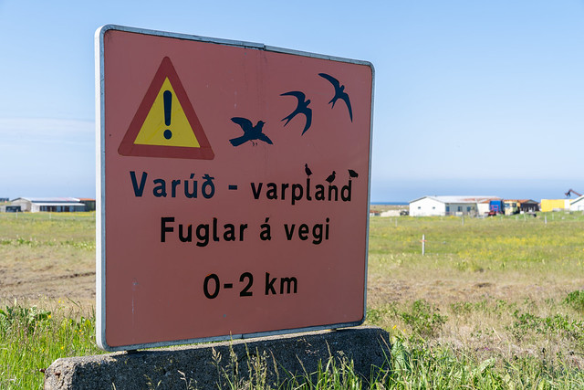 A sign Varud - varpland - Fuglar á vegi