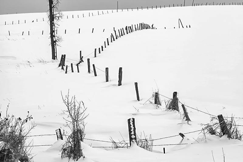 Fencelines-Ontonogon County, MI