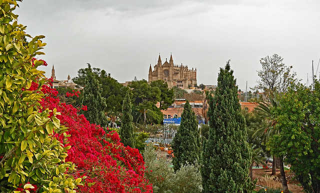 view through the gardens to the cathedral