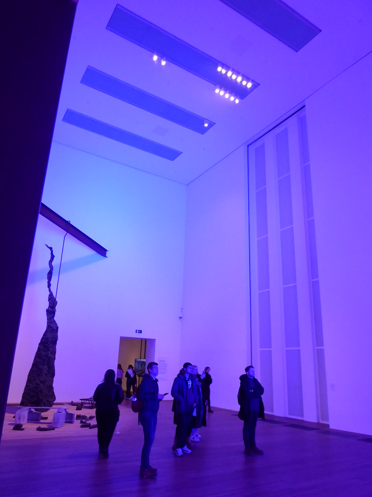 Enraptured by Purple Light, Tate Modern