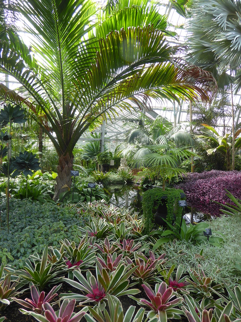 Chicago, Garfield Park Conservatory, Tropical Plant Room