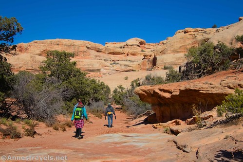 Hiking upcanyon near the Fins Trail, Maze District of Canyonlands National Park, Utah