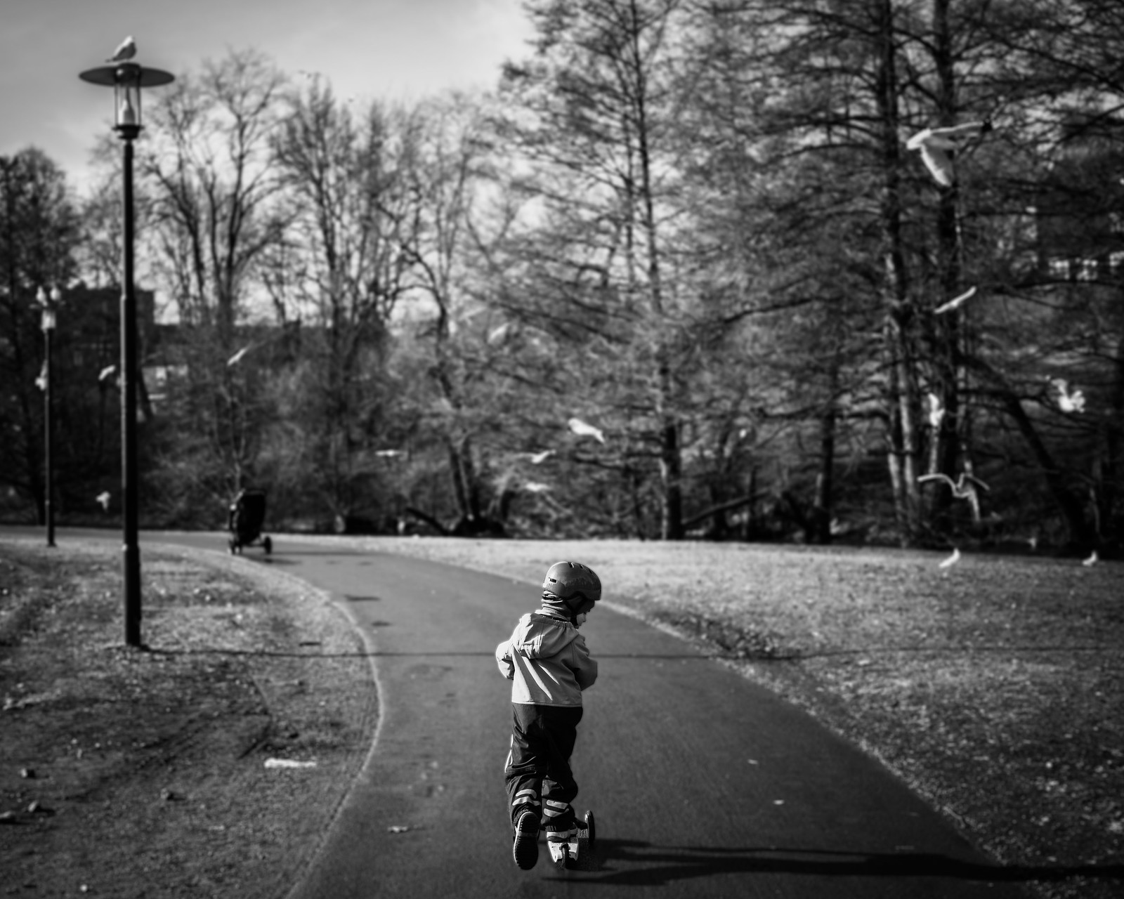 Young boy scooter ride