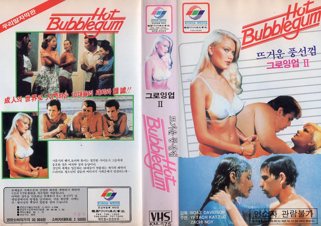 Seoul Korea vintage VHS cover art for Israeli cult teen pic 