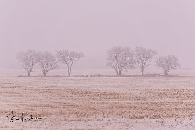 A Cold Island on the Prairies