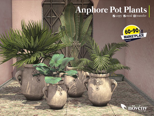Anphore Pot Plants