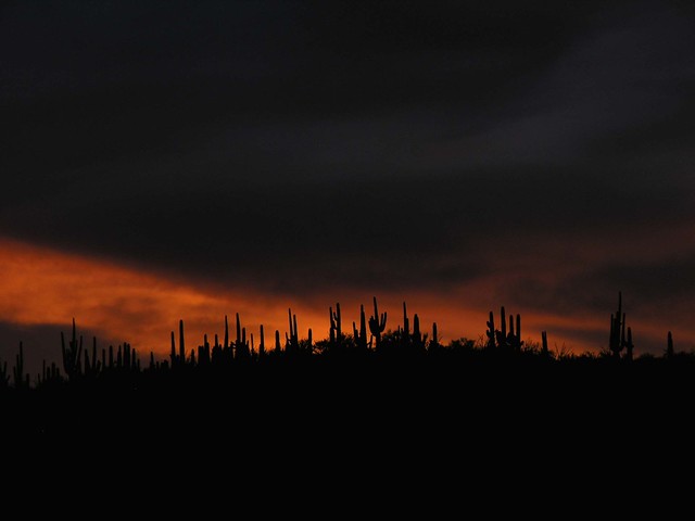 Sunset; San Pedro River Valley, SE of San Manuel, AZ