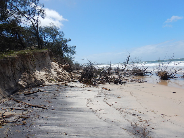Erosion Coonarr beach,March 13th 2024
