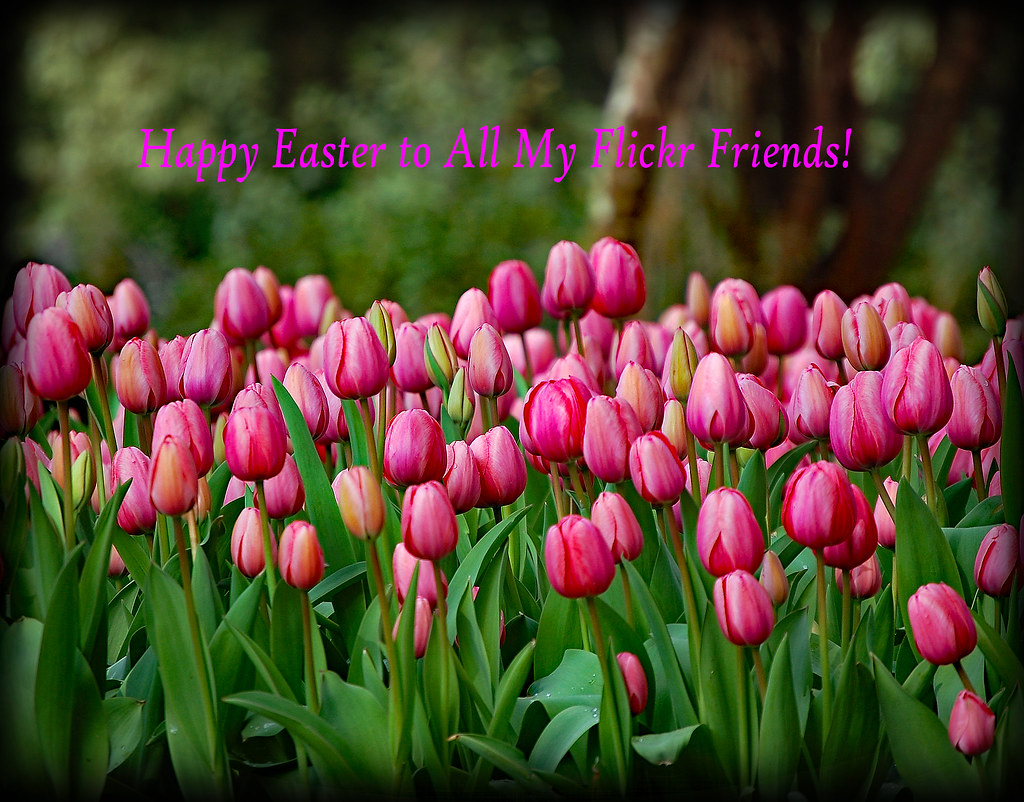 Wishing You a Beautiful Easter Weekend!