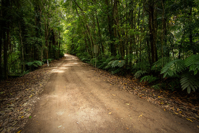 Paradise - Dirt road through the rainforest to Paluma dam.