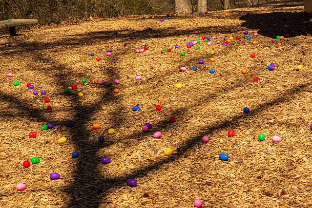 Easter Eggs on Tom Sawyer Island @ Swift Creek Reservoir - Midlothian, VA, USA