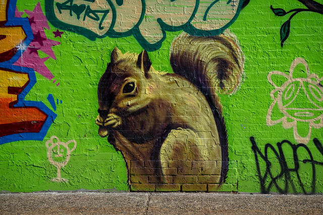 Squirrel Street Art
