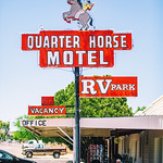 Quarter Horse Motel 