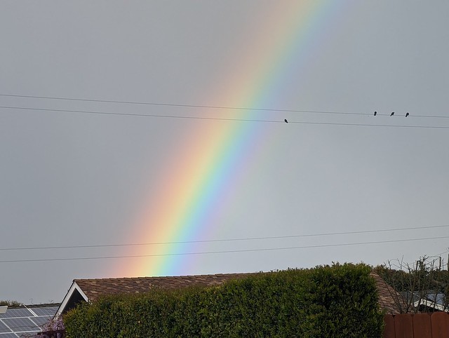 March 29: Capturing A Rainbow