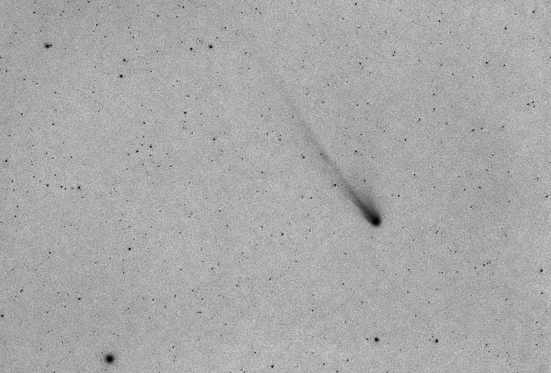ポン・ブルックス彗星(12P)とハマル (2024/3/29 19:22) (白黒反転)