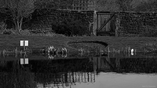 Felley Priory. Stew Pond (3)