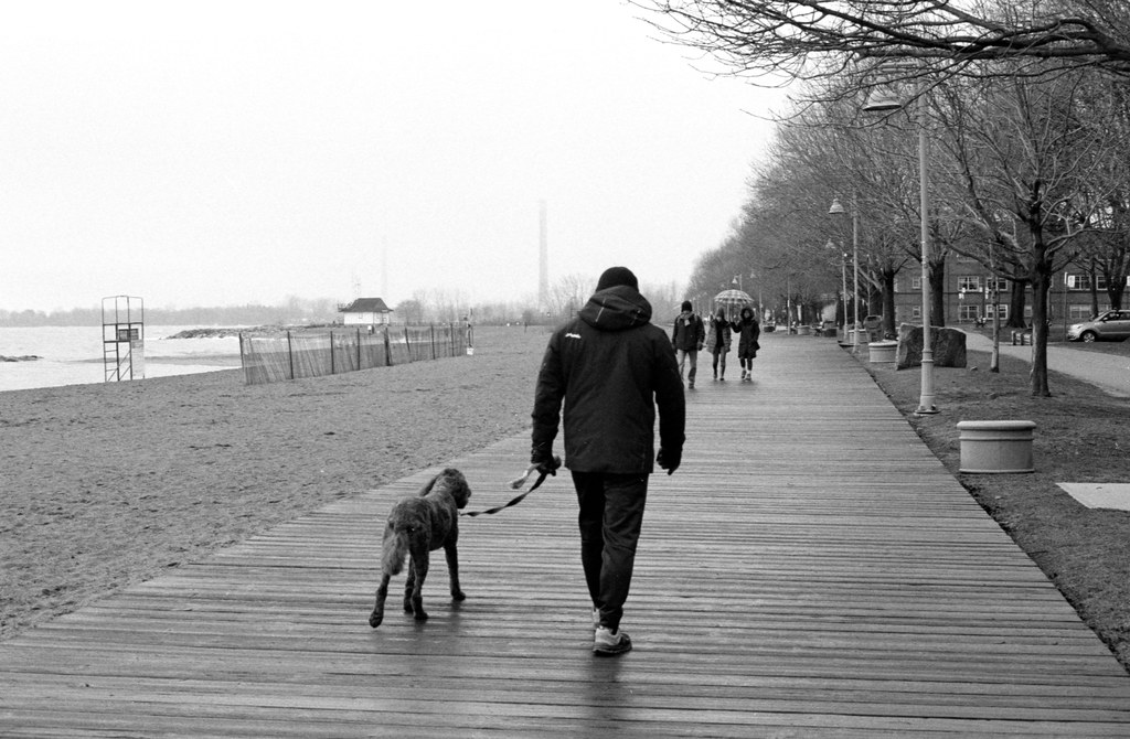 Walking Along the Boardwalk in the Rain March2024